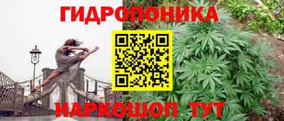 прущие грибы Пыть-Ях