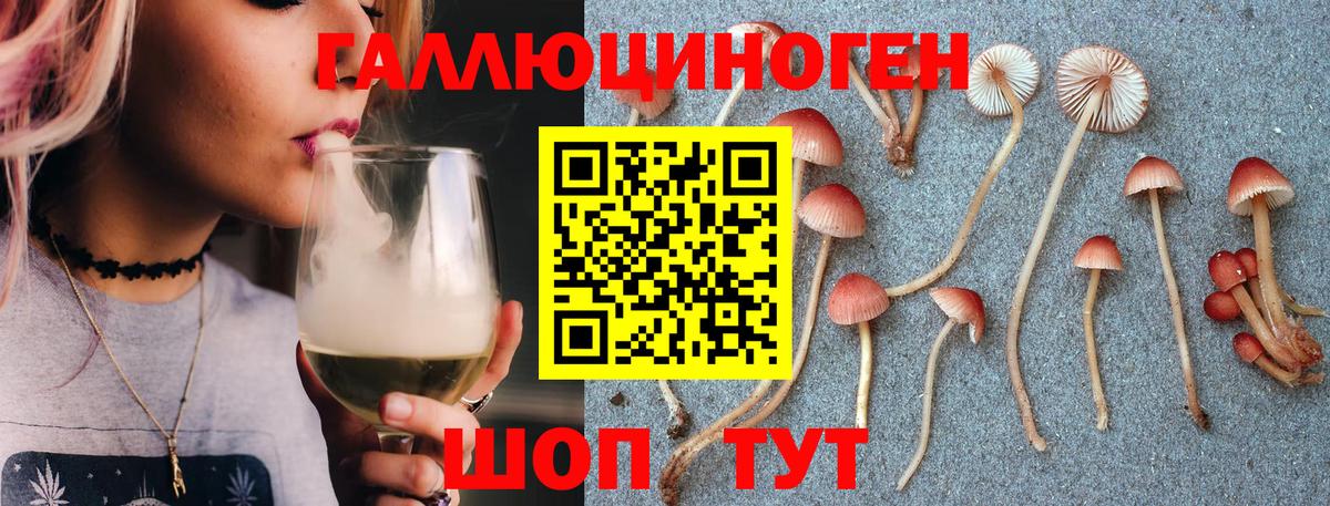 Псилоцибиновые грибы GOLDEN TEACHER  Вход с VPN  Рославль 